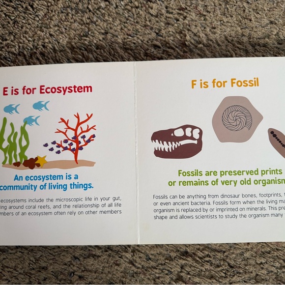 Board Book Bundle - Picture 4 of 5